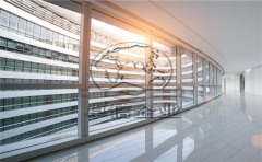 香港公司該如何申請延期報稅？