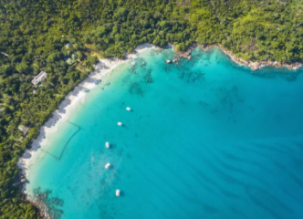 注冊塞舌公司類型及優(yōu)勢有哪些？