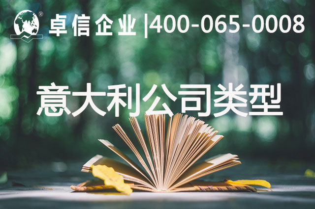 注冊(cè)意大利公司類(lèi)型