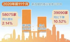 增長！增長！疫情背景下新加坡公司新注冊數(shù)量逆勢增長！