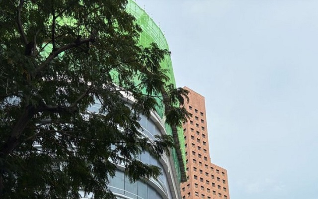 馬來(lái)西亞擔(dān)任公司董事的條件全解析