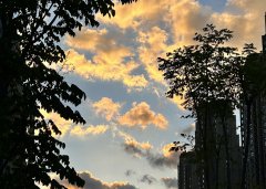 2025上半年，中國(guó)企業(yè)出海刷新全球副本：更猛、更強(qiáng)、更聰明