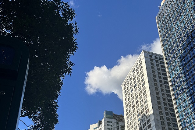 墨西哥公司注銷實(shí)操指南