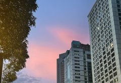 香港公司注冊(cè)代理人選擇指南：如何避坑選對(duì)服務(wù)商