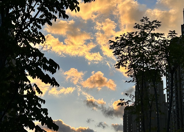 注冊愛爾蘭公司注冊資金全解析